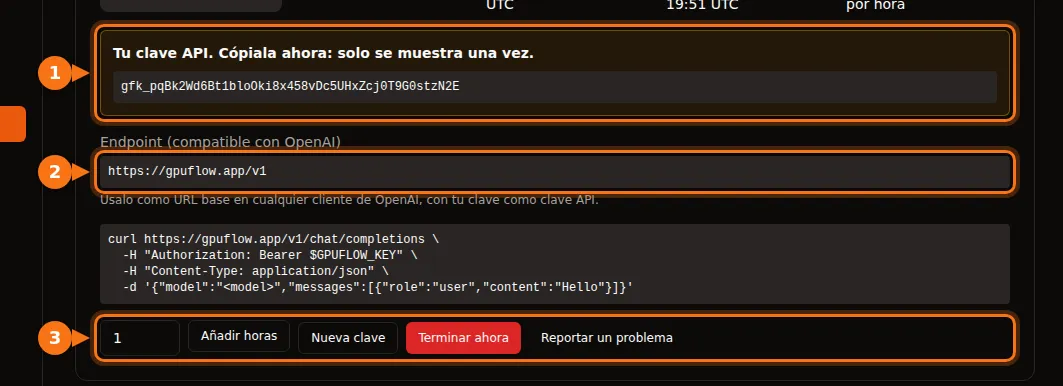 La página Alquileres Actuales con la clave API, el endpoint y los botones del alquiler resaltados