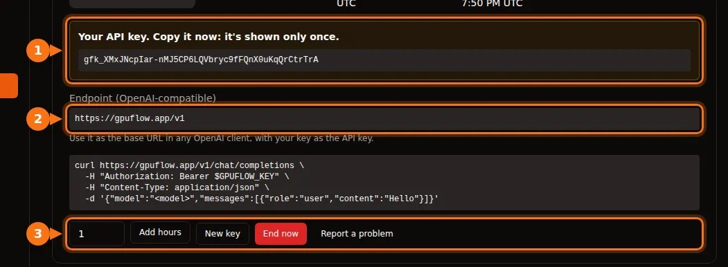 The Current Rentals page with the API key, the endpoint and the rental buttons highlighted