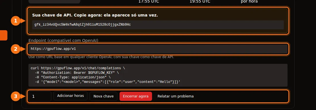 A página Aluguéis Atuais com a chave de API, o endpoint e os botões do aluguel em destaque