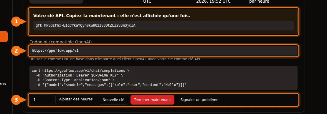 La page Locations Actuelles avec la clé API, l'endpoint et les boutons de la location mis en évidence