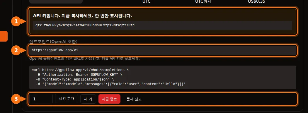 API 키, 엔드포인트, 대여 버튼이 강조된 현재 대여 페이지